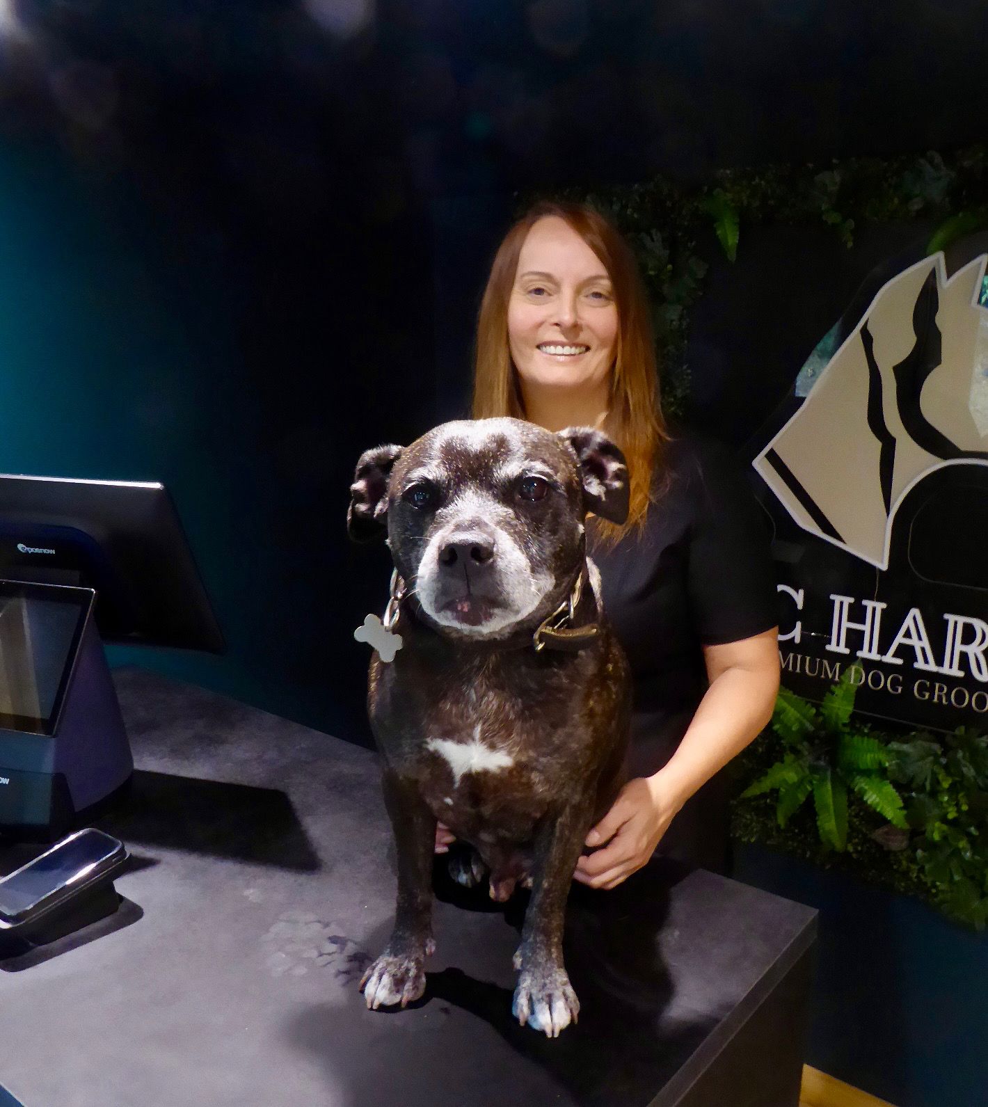 DC Hardy Professional Groomer