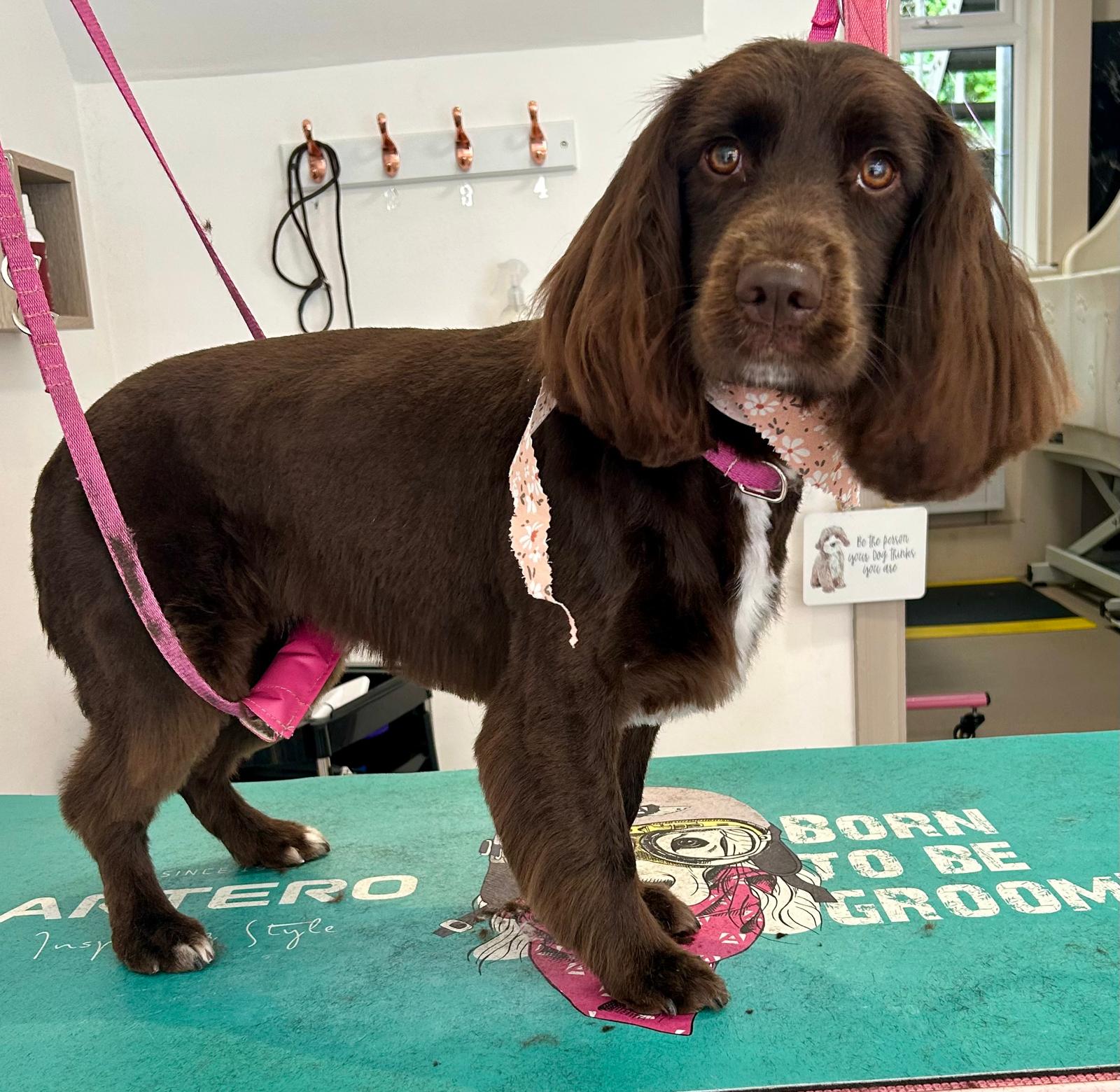 Professional styling work